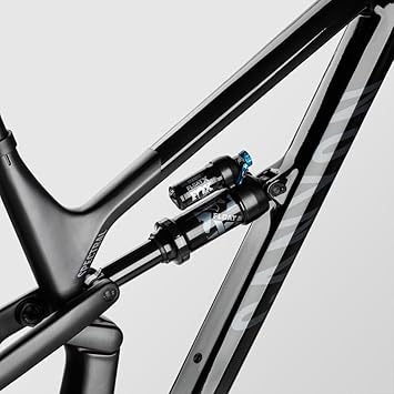 Canyon Spectral 29 CF 8