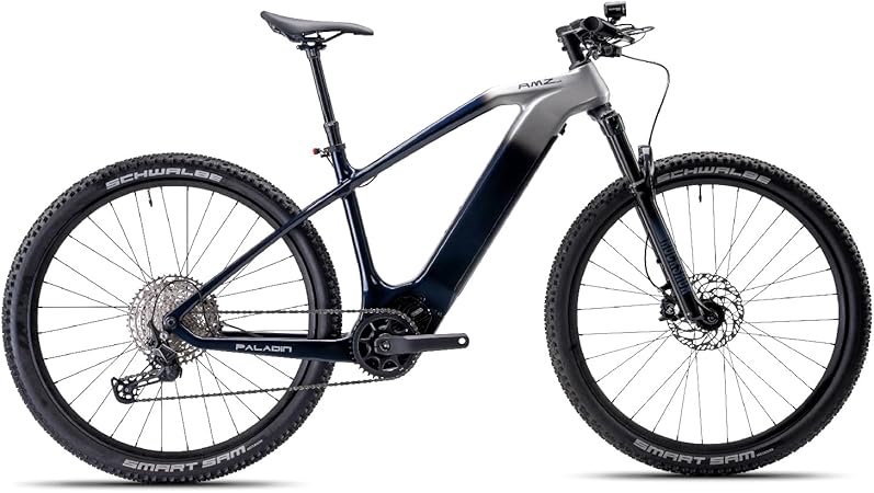 Paladin Electric Mountain Bike, 29-inch, Adult, Carbon Fiber Frame, Front Suspension, 500W Motor, Class 2 E-Bike (Dawn Silver, L)