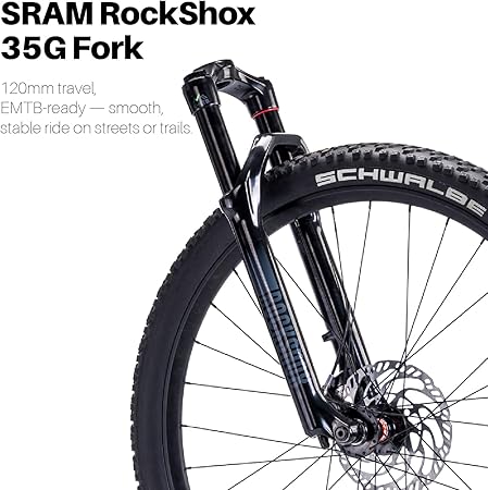Paladin Electric Mountain Bike, 29-inch, Adult, Carbon Fiber Frame, Front Suspension, 500W Motor, Class 2 E-Bike (Dawn Silver, L)