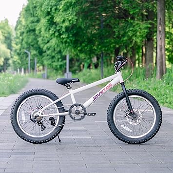 JOYSTAR 20 Inch Mountain Bike for Kids Ages 7-12 Year Old, 3-Inch Wide Knobby Tires, 7 Speed Shimano Drivetrain, Disc Brakes, Fat Tire Kids Bicycles for Boys Girls