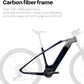 Paladin Electric Mountain Bike, 29-inch, Adult, Carbon Fiber Frame, Front Suspension, 500W Motor, Class 2 E-Bike (Dawn Silver, L)