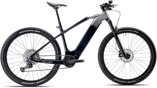 Paladin Electric Mountain Bike, 29-inch, Adult, Carbon Fiber Frame, Front Suspension, 500W Motor, Class 2 E-Bike (Dawn Silver, L)